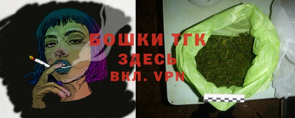 дживик Белокуриха