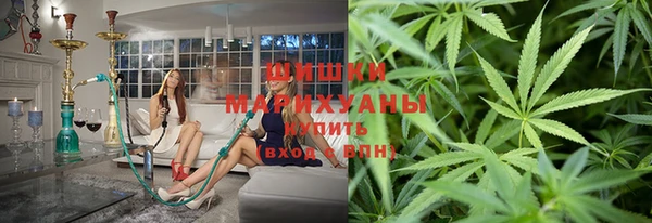 дживик Белокуриха